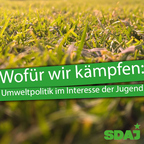 Wofür wir kämpfen: Umweltpolitik im Interesse der Jugend